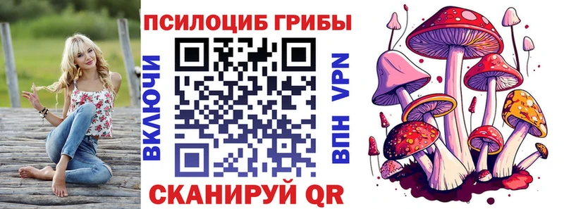 Купить где  Межгорье  Псилоцибиновые грибы Cubensis 
